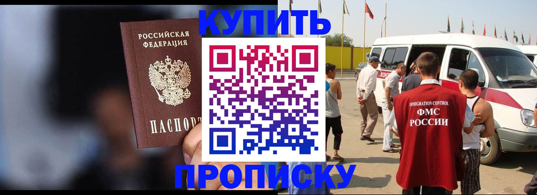 прописка поиск в Котово